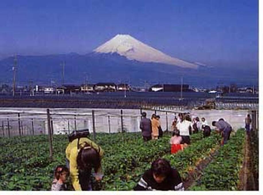 ゲストハウス+カフェわ　１日１組限定！ 築１００年の農家の古民家で宿泊体験、薪でお風呂沸かせます。焚き火もできます。 Kannami Dış mekan fotoğraf